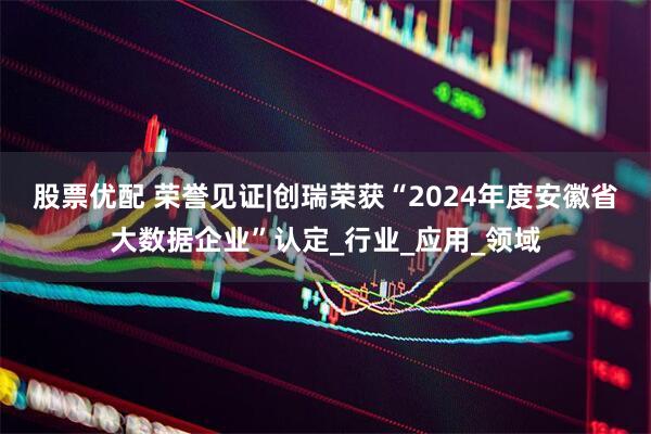 股票优配 荣誉见证|创瑞荣获“2024年度安徽省大数据企业”认定_行业_应用_领域