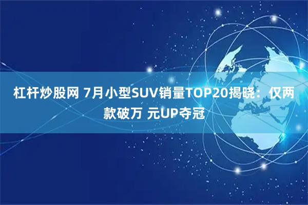 杠杆炒股网 7月小型SUV销量TOP20揭晓：仅两款破万 元UP夺冠